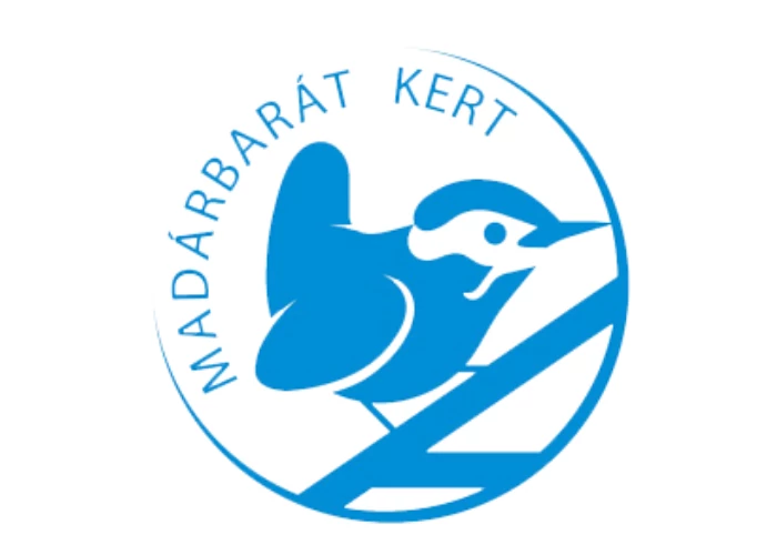 Sirály örökerdő